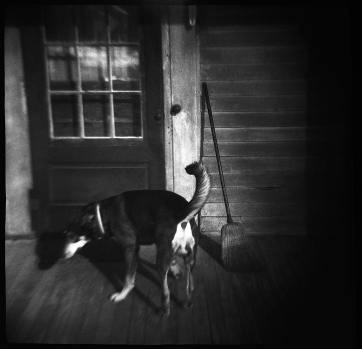 diana camera - black and white photo