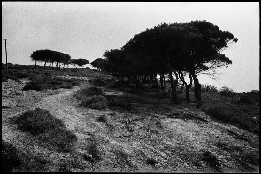 misc - black and white photo