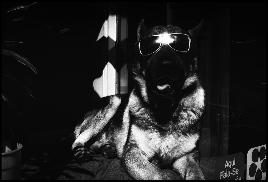 misc - black and white photo