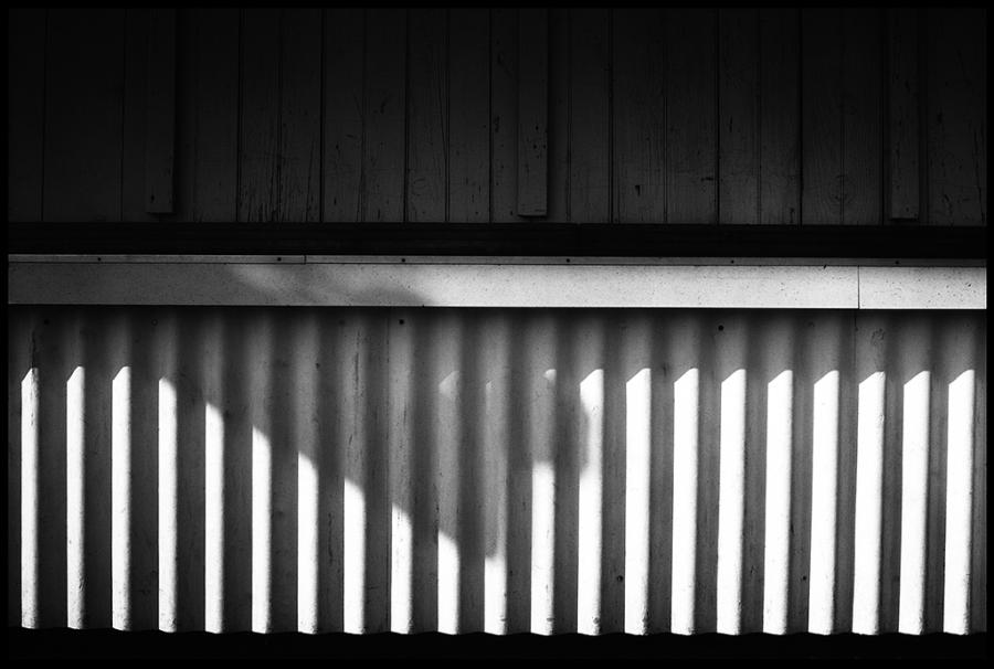 misc - black and white photo