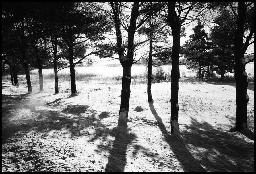 misc - black and white photo