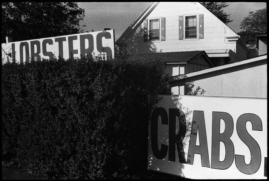 misc - black and white photo