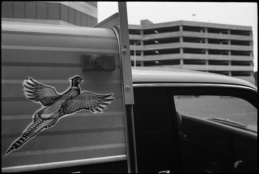 misc - black and white photo
