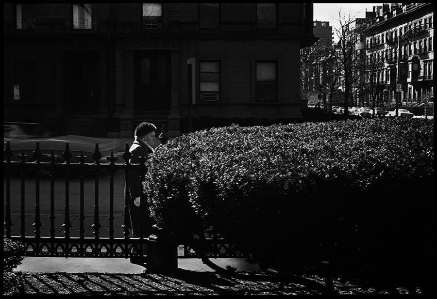 misc - black and white photo