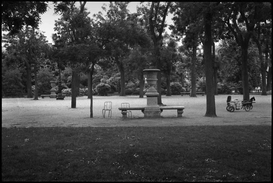 misc - black and white photo
