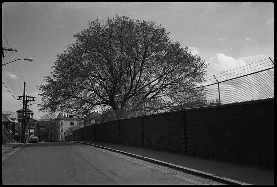 street scenes - black and white photo