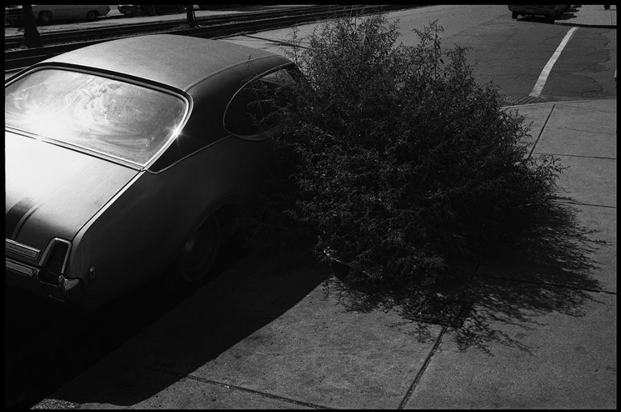 street scenes - black and white photo