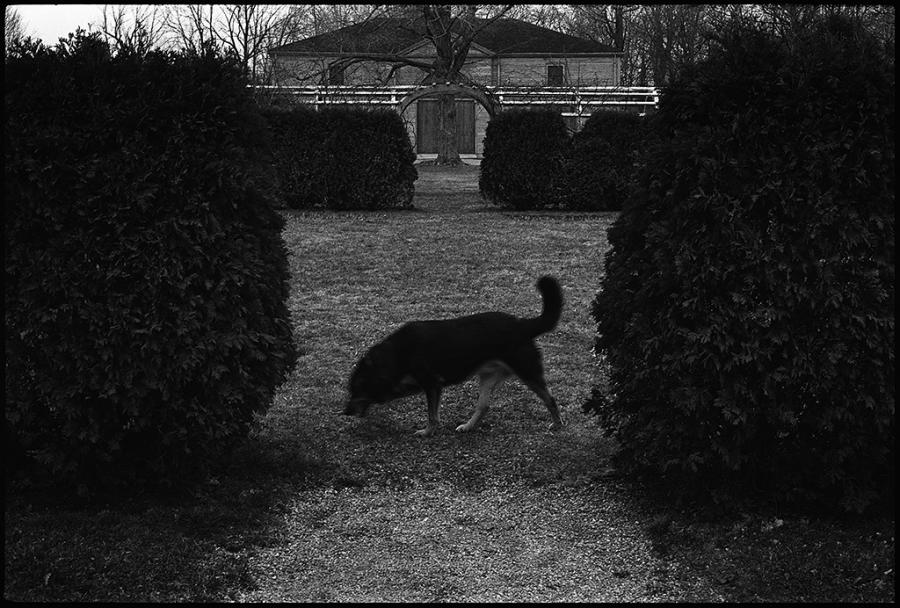 street scenes - black and white photo