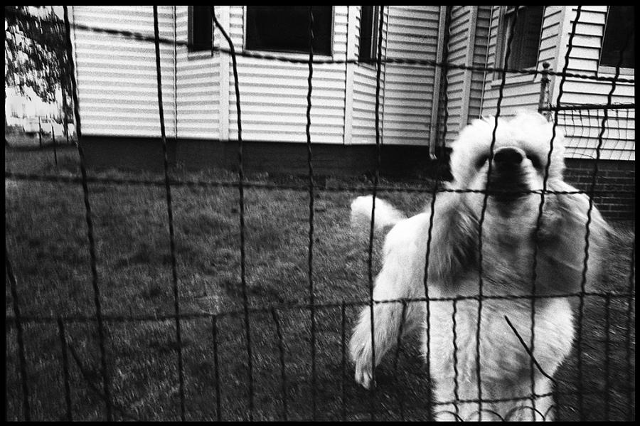 street scenes - black and white photo