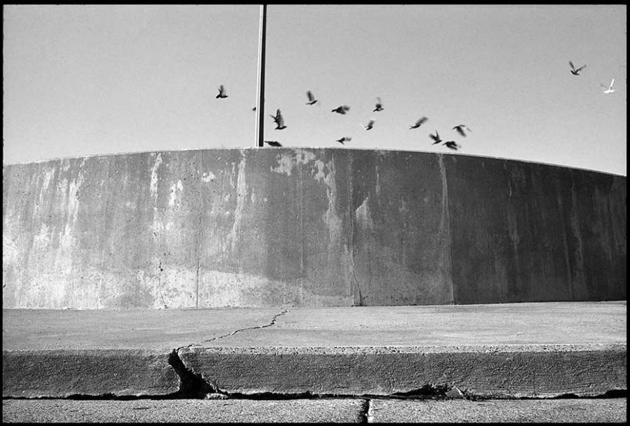 revere beach - black and white photo