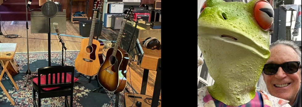 frog and face and guitars 
