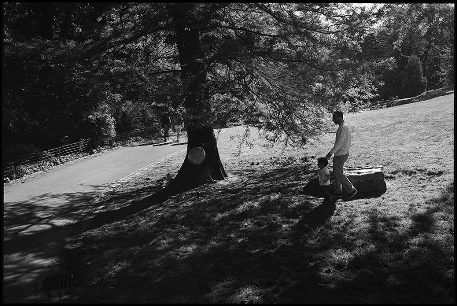 central park - black and white photo