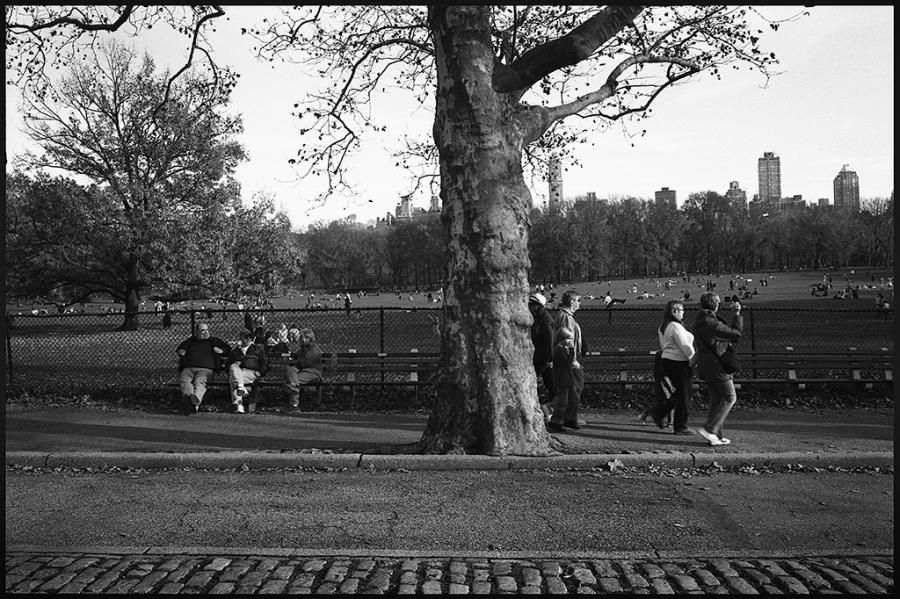 central park - black and white photo