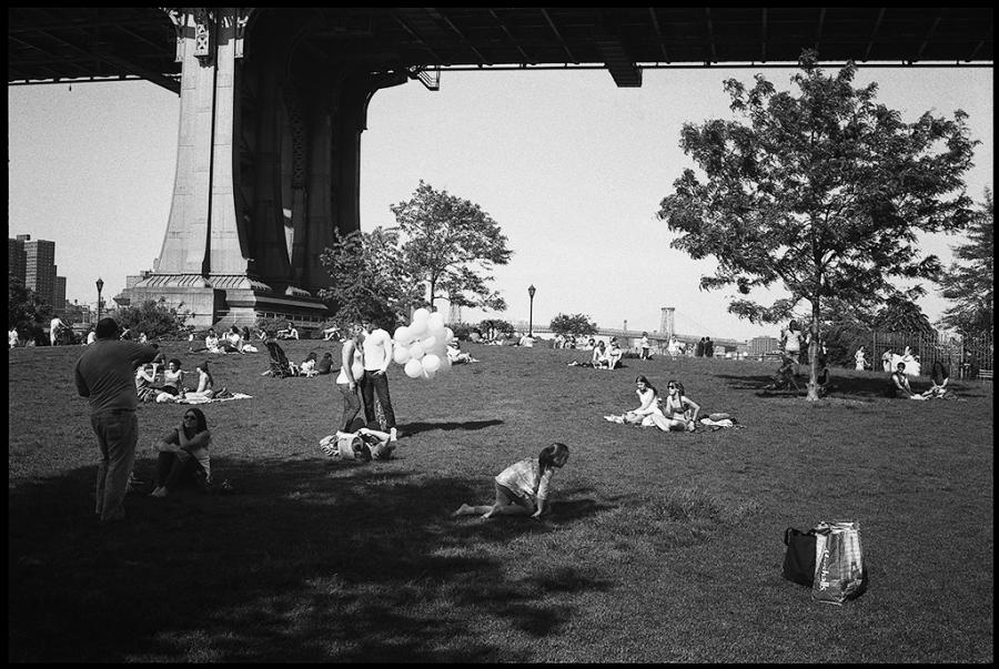 dumbo - black and white photo