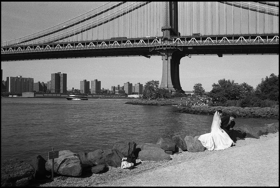 dumbo - black and white photo