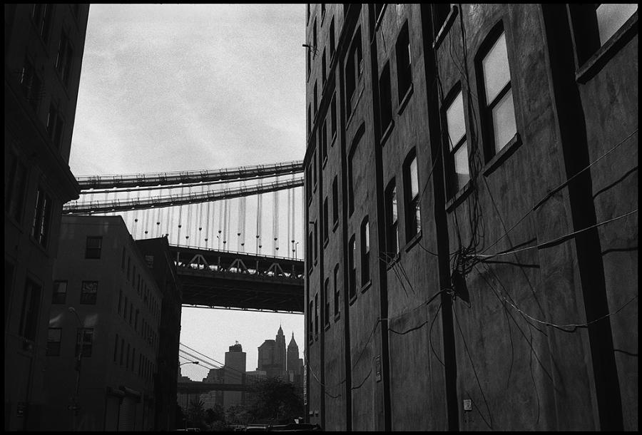 dumbo - black and white photo