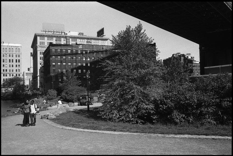 dumbo - black and white photo