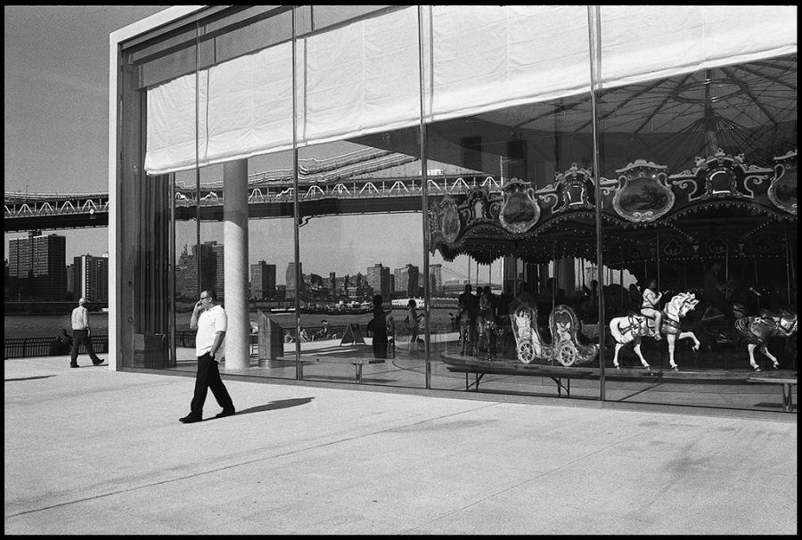 dumbo - black and white photo