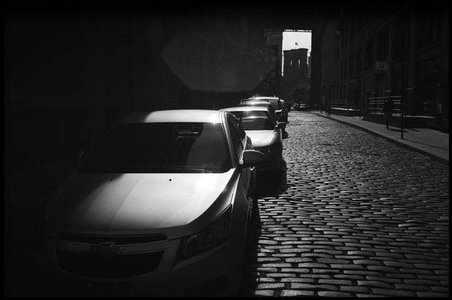 dumbo - black and white photo