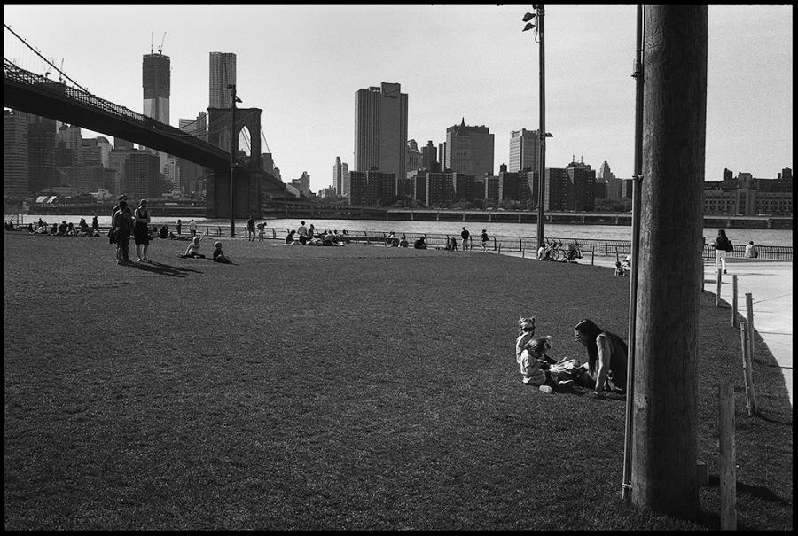 dumbo - black and white photo