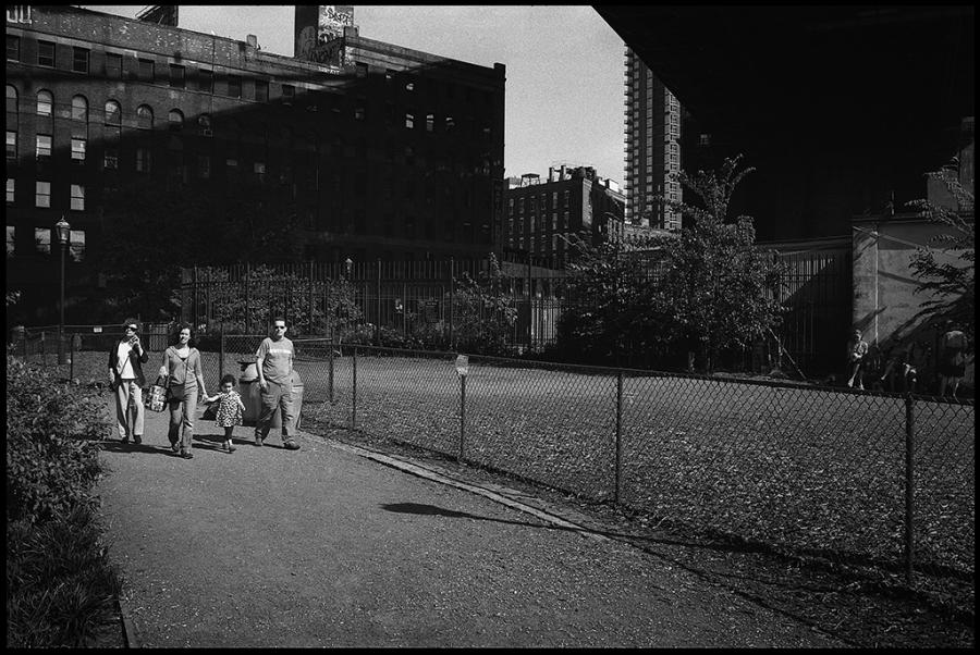 dumbo - black and white photo