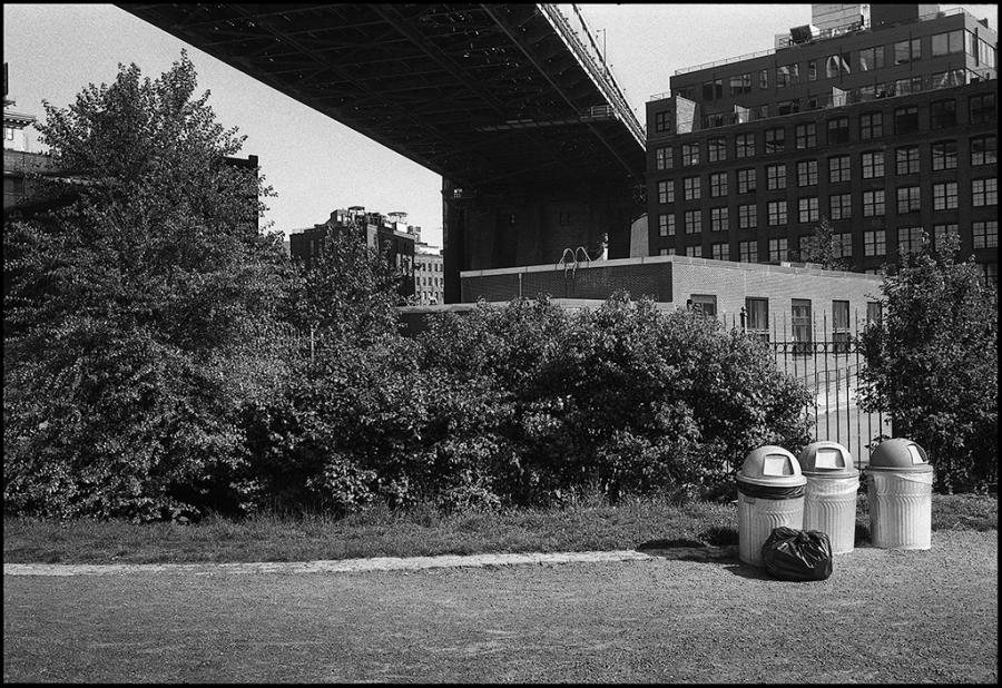 dumbo - black and white photo