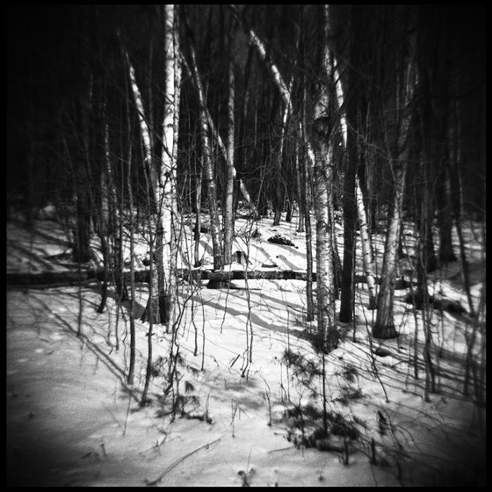 landscapes - black and white photo