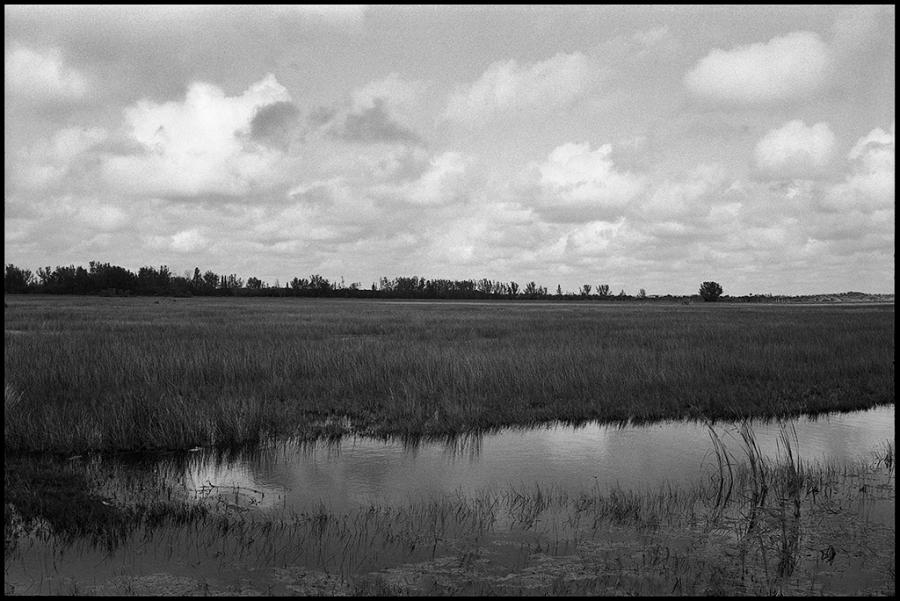 on the road - black and white photo