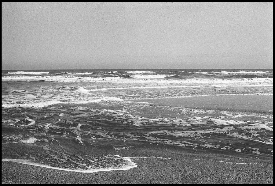 on the road - black and white photo