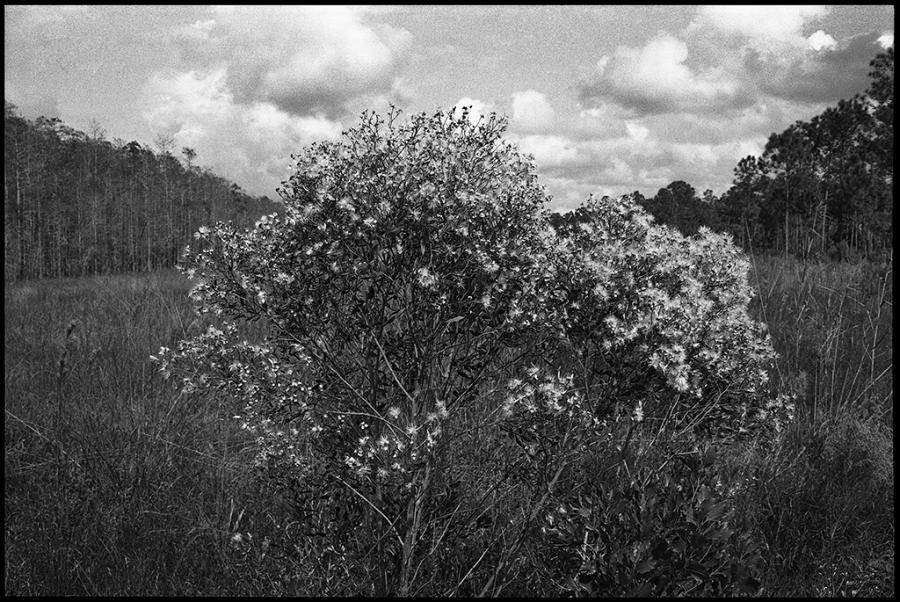 on the road - black and white photo