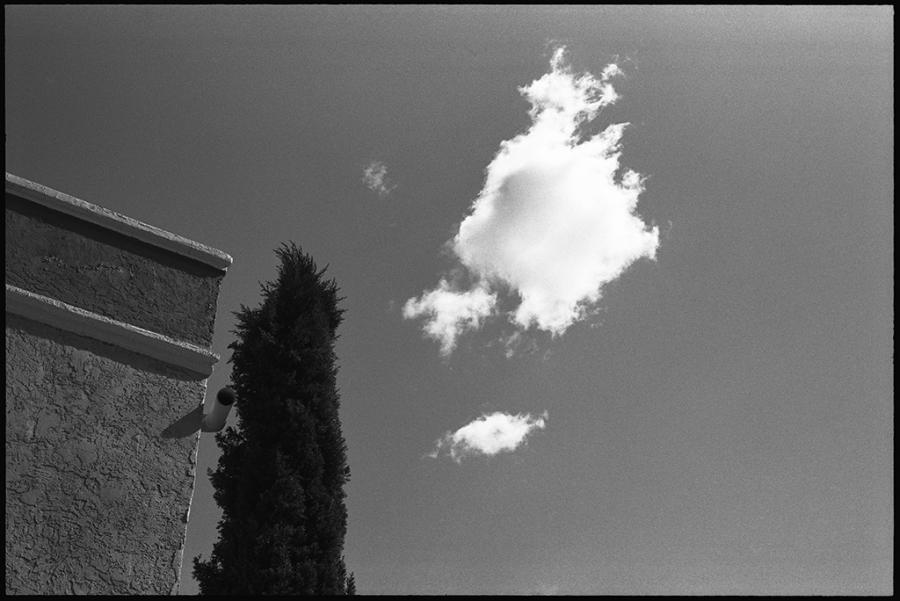 on the road - black and white photo