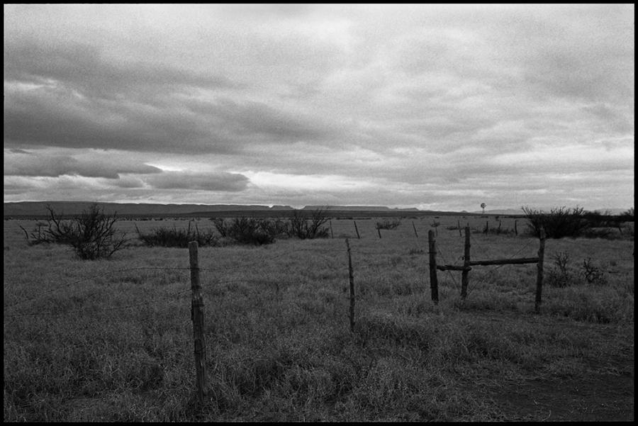 on the road - black and white photo