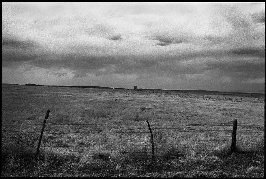 on the road - black and white photo