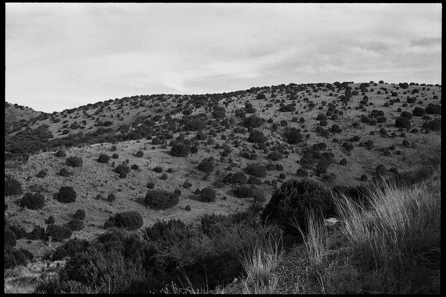on the road - black and white photo