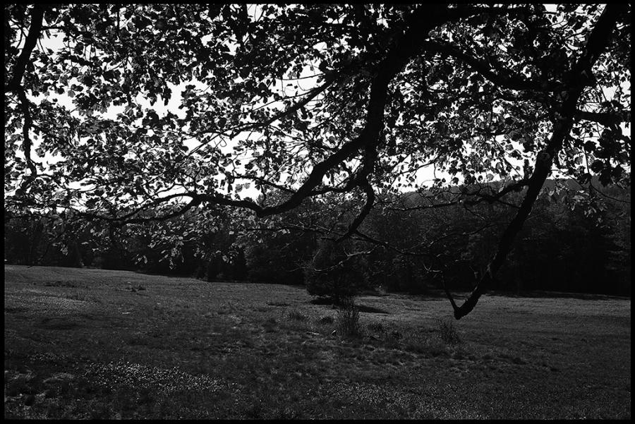 on the road - black and white photo