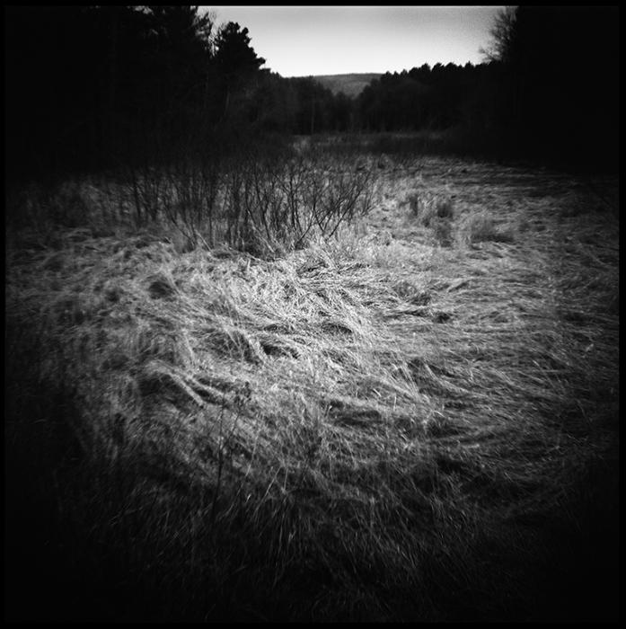 landscapes - black and white photo