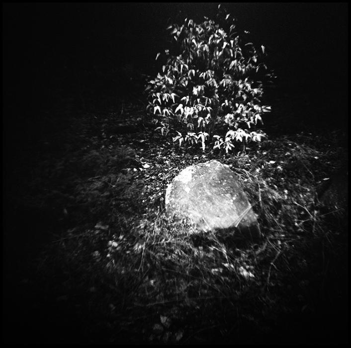landscapes - black and white photo