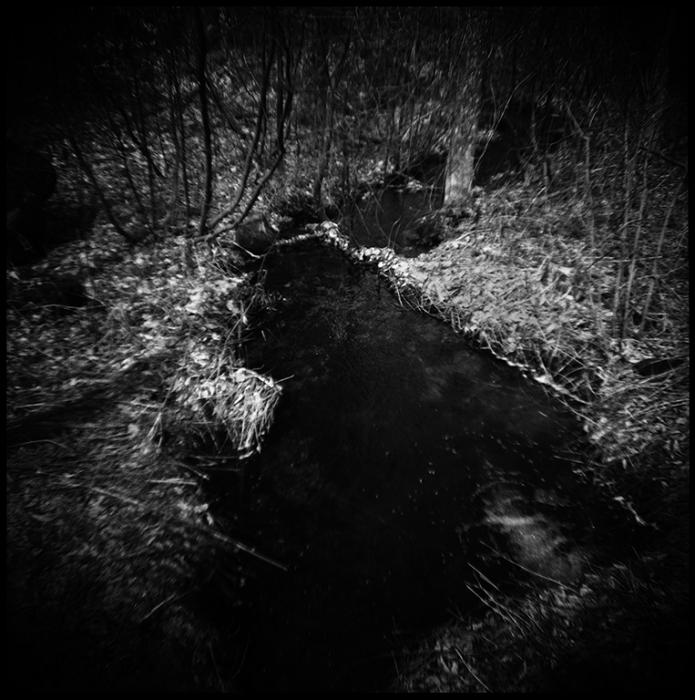 landscapes - black and white photo
