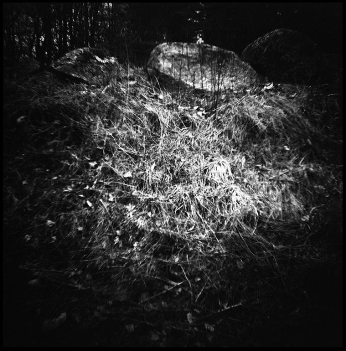 landscapes - black and white photo