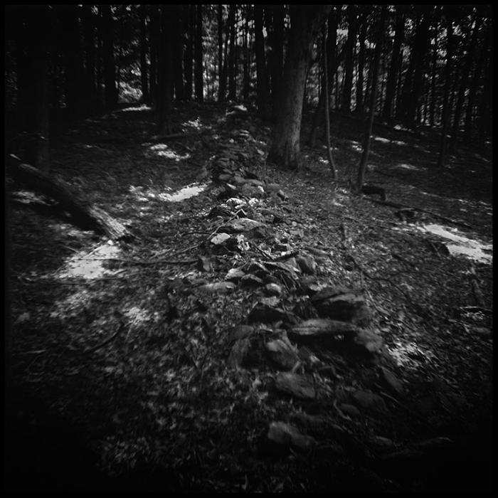 landscapes - black and white photo