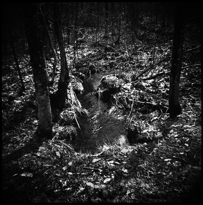 landscapes - black and white photo