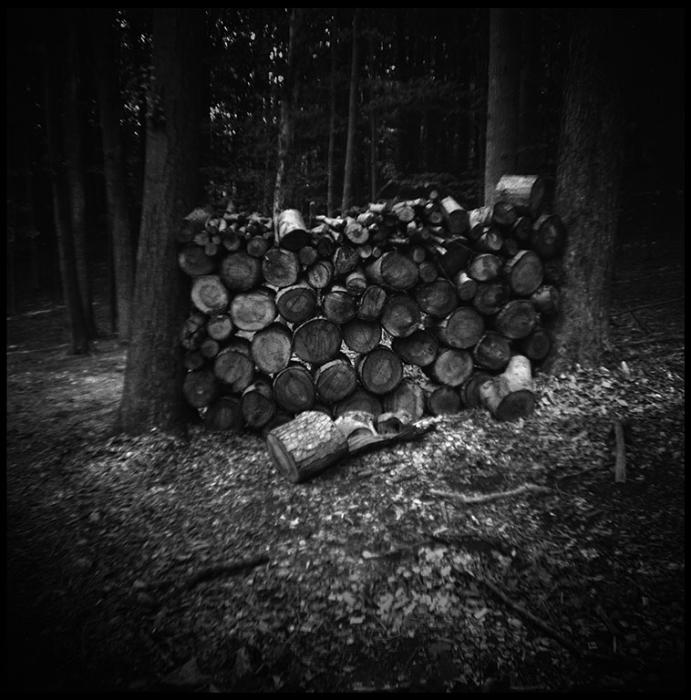 landscapes - black and white photo