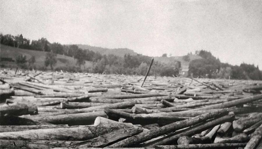 turn of the century - black and white photo