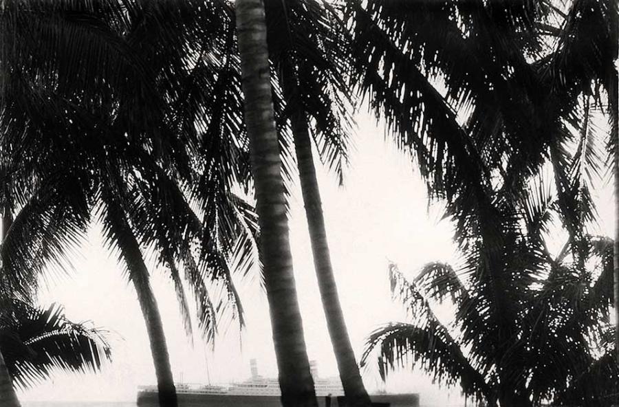 carribean cruise - black and white photo