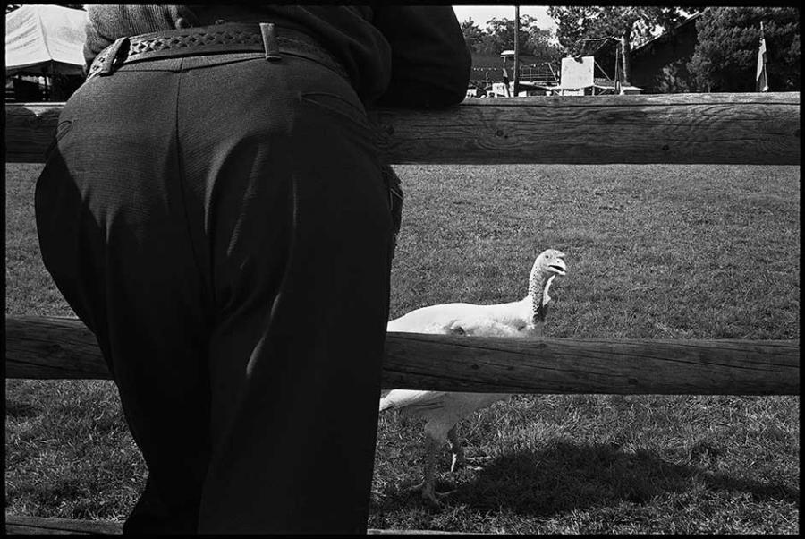 topsfield - black and white photo