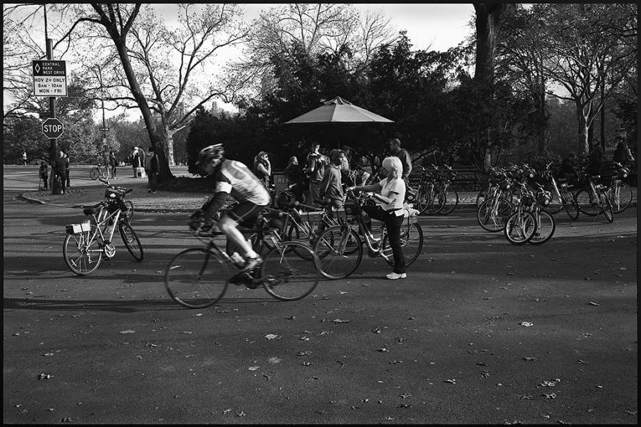 central park - black and white photo