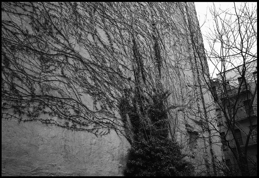lower east side - black and white photo