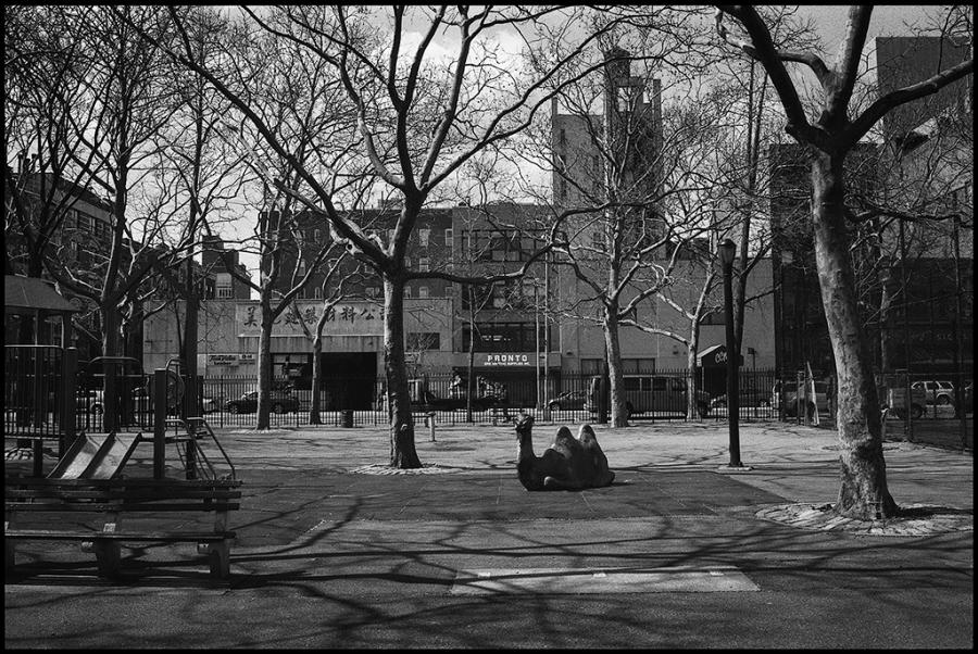 lower east side - black and white photo