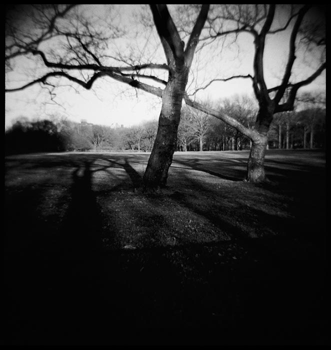 cityscapes - black and white photo