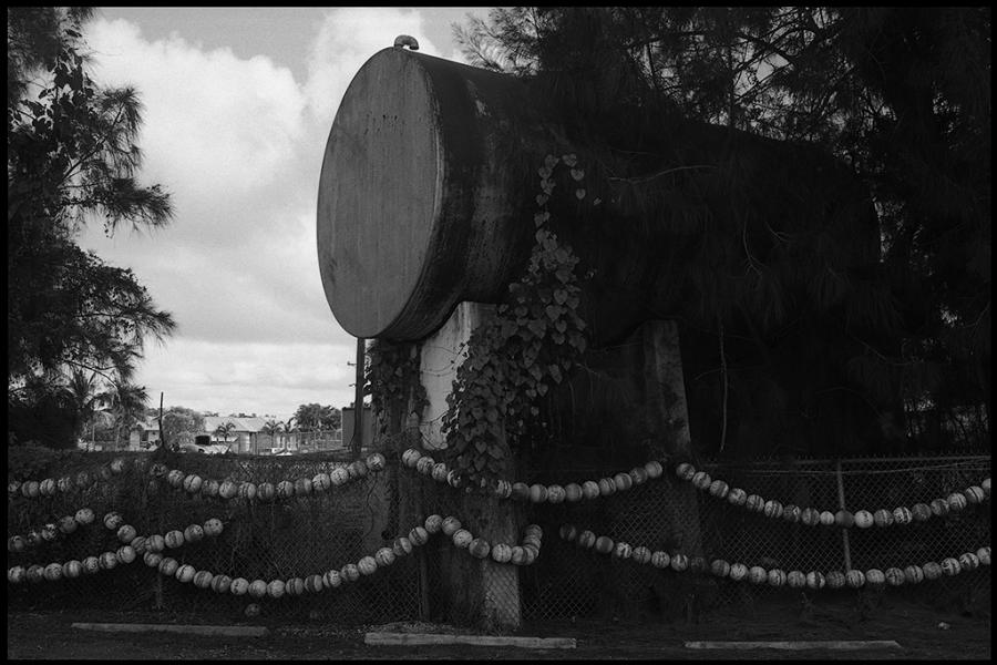 on the road - black and white photo